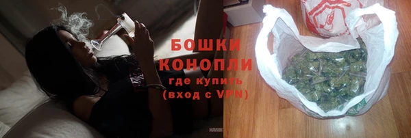 a pvp Пересвет