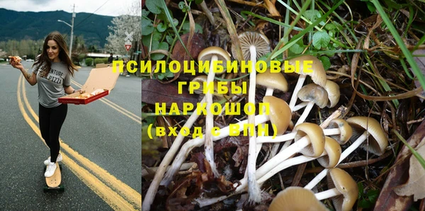 гидра Осташков