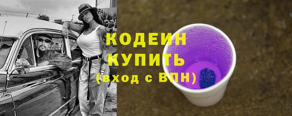 a pvp Пересвет