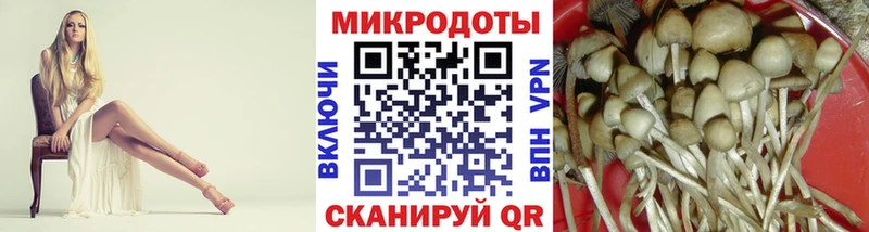 Псилоцибиновые грибы прущие грибы  хочу наркоту  гидра ССЫЛКА  Кондрово 