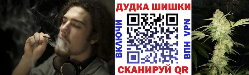 Бошки марихуана планчик  Кондрово 